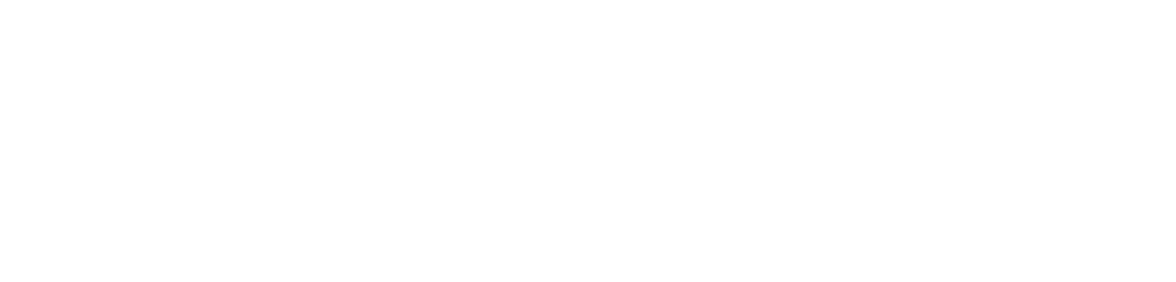 INFOLOG Systems Logo